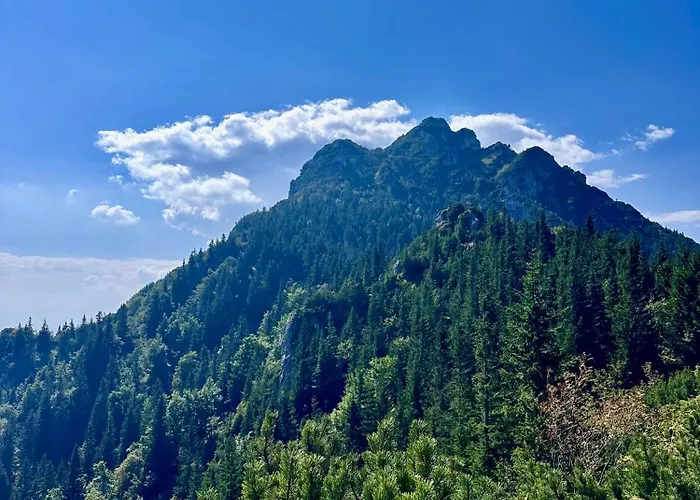 Apartman Noel Terhely